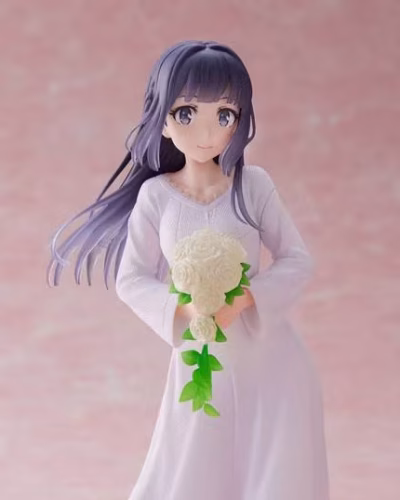 Rascal Does Not Dream of a Dreaming Girl Shoko Makinohara