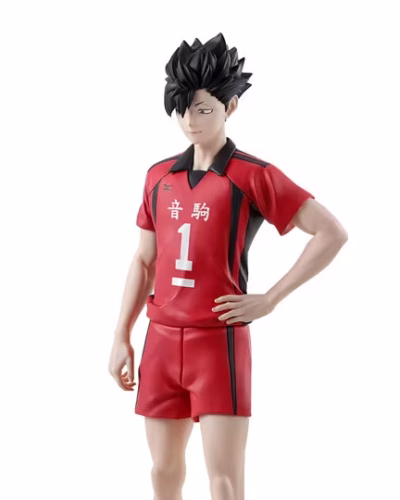 Haikyu!! Tetsuro Kuroo