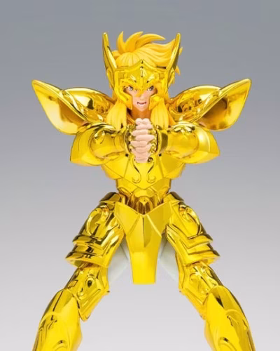 Saint Seiya Myth Cloth EX Aquarius Hyoga (Inheritor of the Gold Cloth Ver.)
