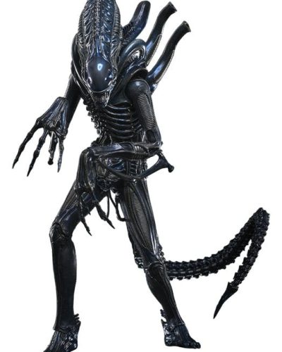 Alien Movie Masterpiece Action Figure 1/6 Alien Warrior 39 cm